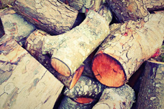 Willhayne wood burning boiler costs